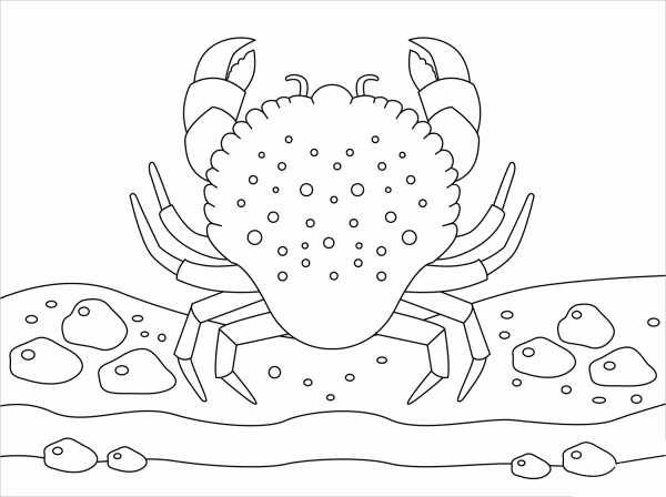 Crab coloring page image