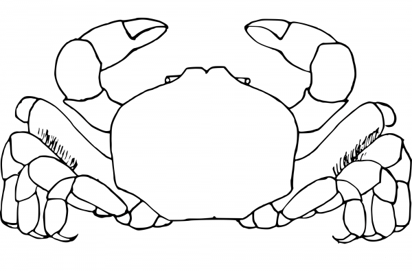 Crab coloring page image