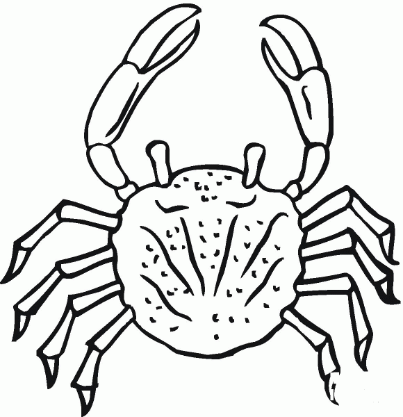 Crab  coloring page image
