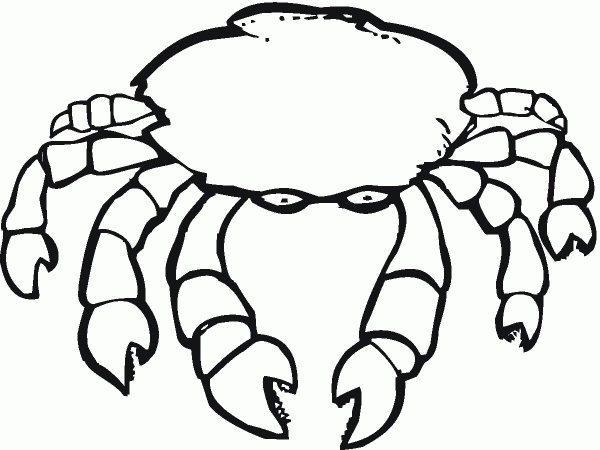 Crab  coloring page image