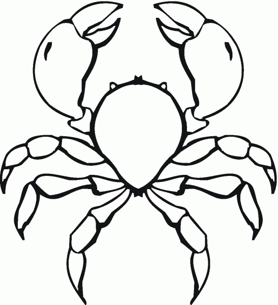 Crab  coloring page image
