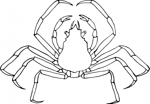 Crab coloring page image