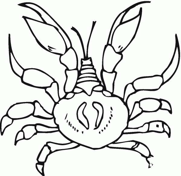 Crab  coloring page image