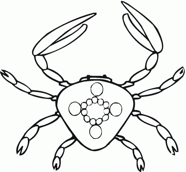 Crab coloring page image