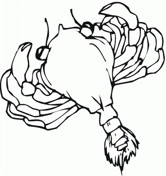 Crab coloring page image
