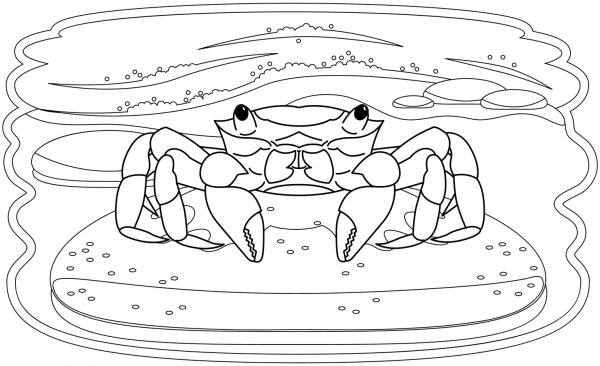 Crab coloring page image