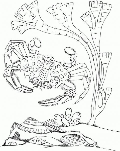 Crab in a deep water coloring page image