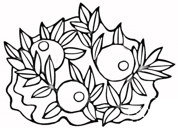 Cranberries  coloring page image
