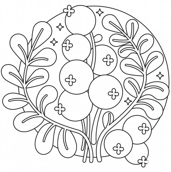 Cranberry coloring page image