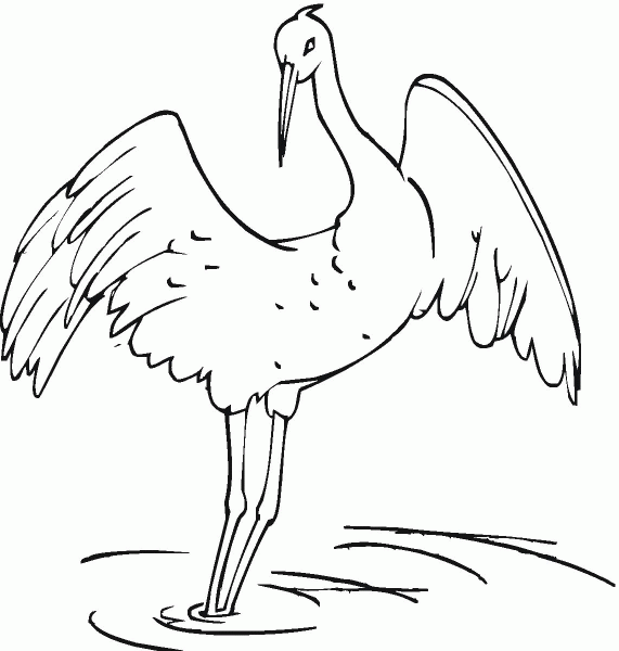 Crane coloring page image