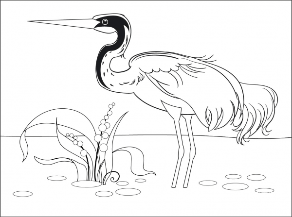 Crane coloring page image