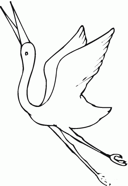 Crane Fly coloring page image