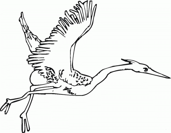 Crane is Taking Off coloring page image