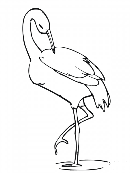 Crane Stands on One Leg coloring page image