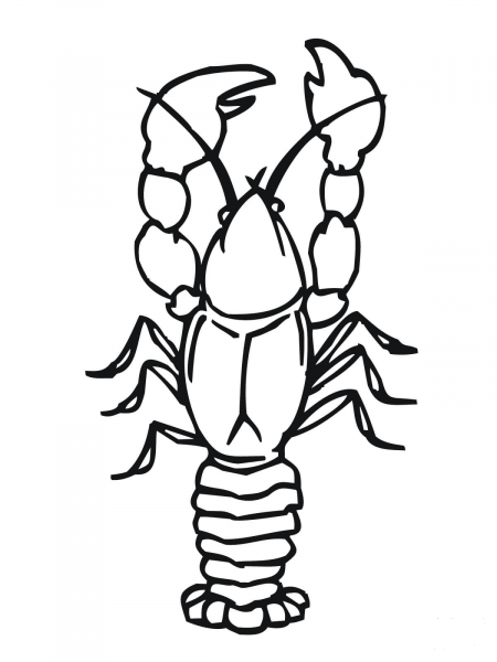 Crawdad coloring page image