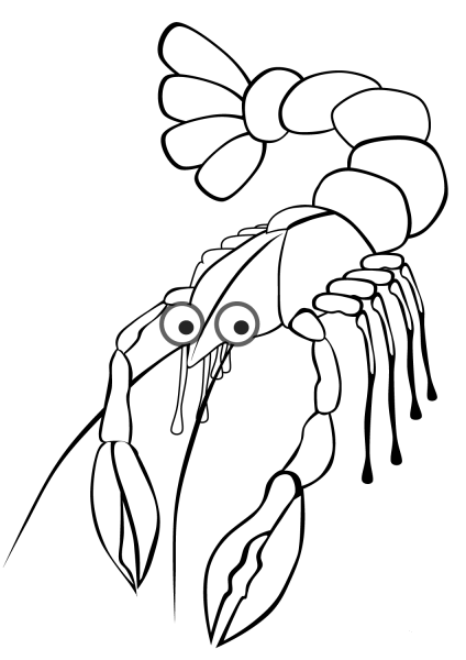 Crayfish coloring page image