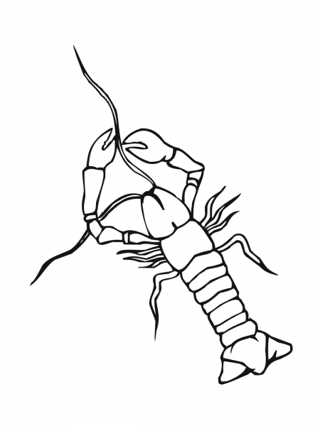 Crayfish Crowfish coloring page image