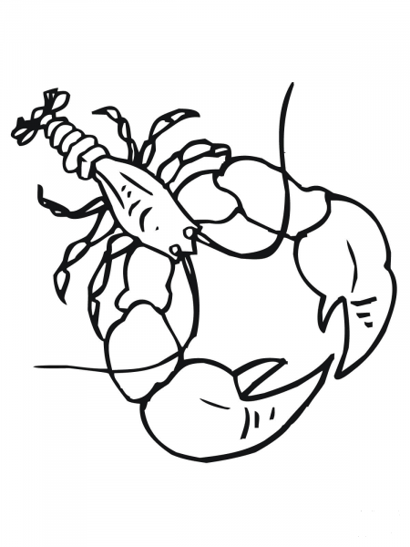 Crayfish with Big Claws coloring page image