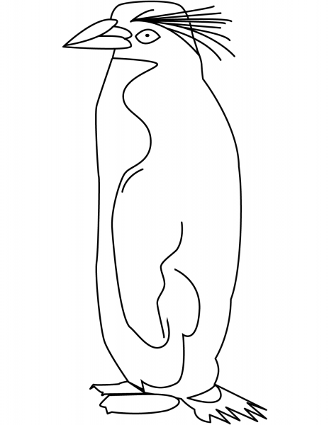 Crested Penguin coloring page image