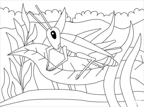 Cricket coloring page image
