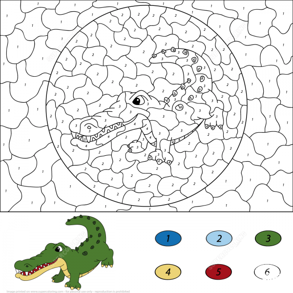 Crocodile Color by Number image