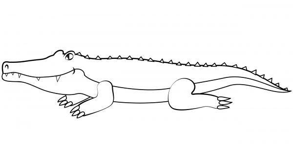 Crocodile coloring page image