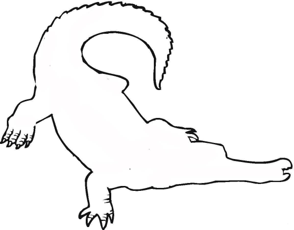 Crocodile Outline  coloring page image