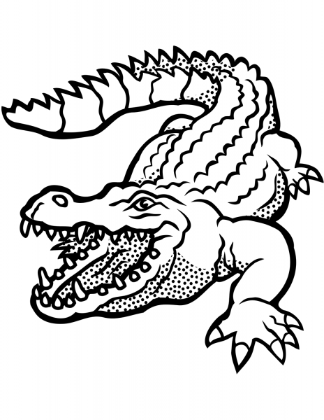 Crocodile with Open Mouth coloring page image