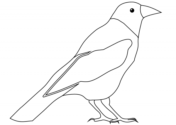 Crow coloring page image