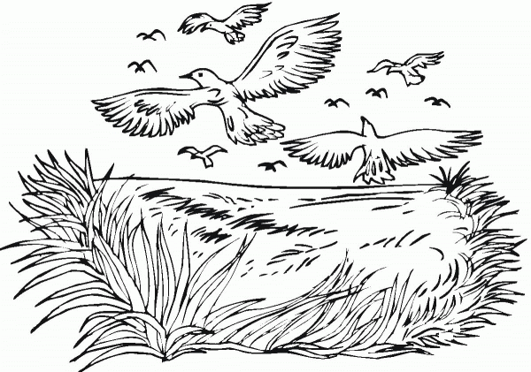 Crows Flock  coloring page image