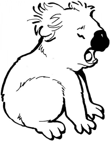 Crying Koala coloring page image
