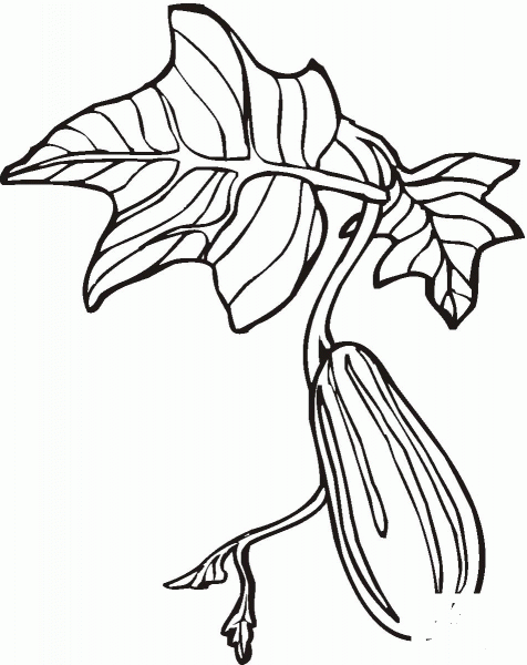 Cucumber coloring page image