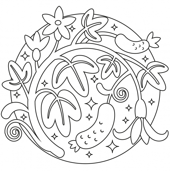 Cucumber coloring page image