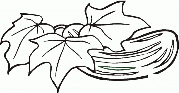 Cucumber coloring page image