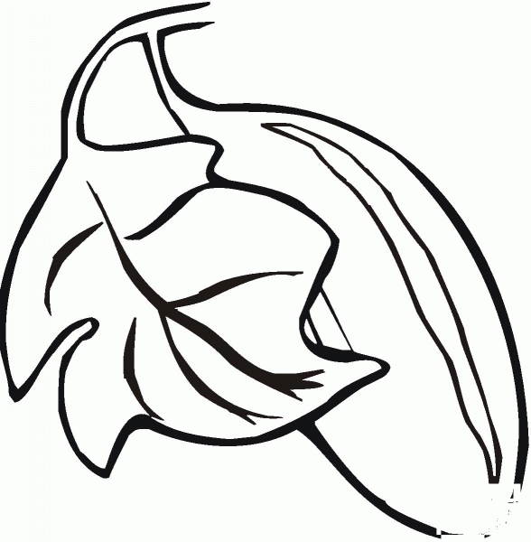 Cucumber coloring page image