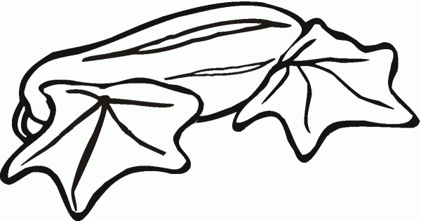 Cucumber coloring page image