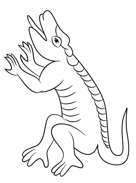 Cuetzpalin Lizzard from Aztec Calendar coloring page image