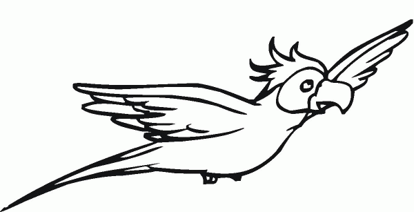 Curious Cockatoo coloring page image