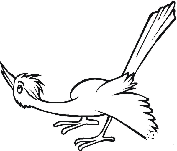 Curious Cuckooo  coloring page image