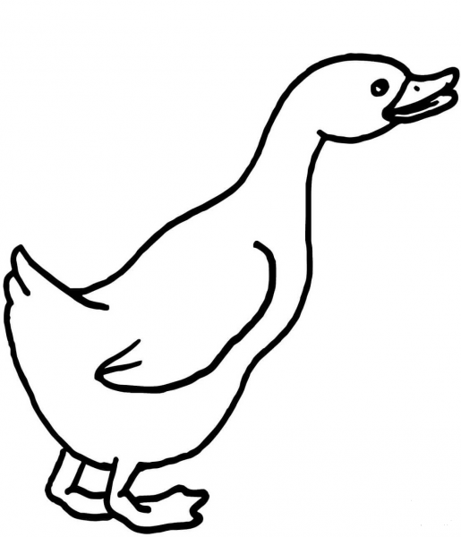 Curious Goose coloring page image