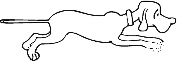 Curious Pet coloring page image