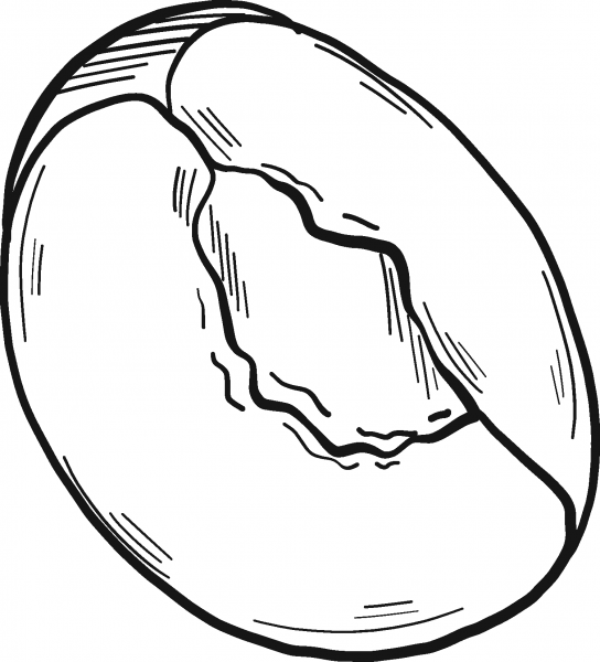 Cut Peach coloring page image