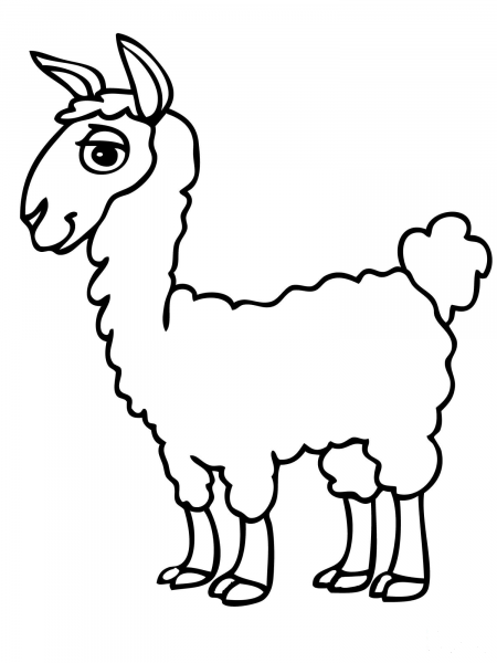 Cute Alpaca coloring page image