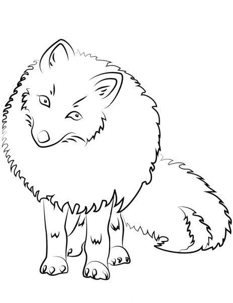 Cute Arctic Fox coloring page image