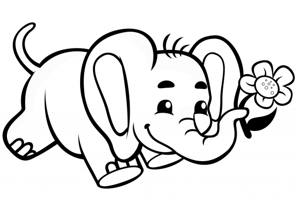 Cute Baby Elephant with Flower coloring page image