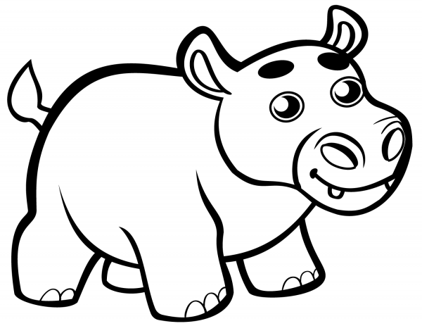 Cute Baby Hippo coloring page image