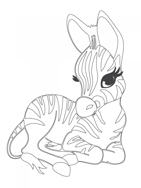 Cute Baby Zebra coloring page image