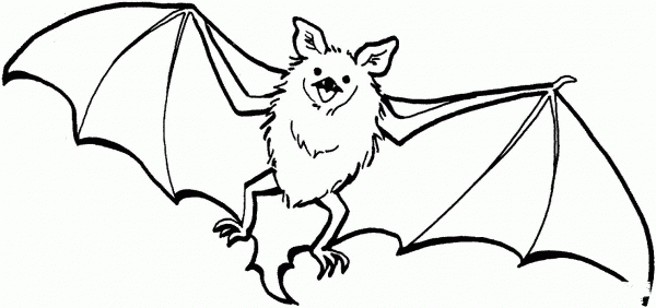 Cute Bat coloring page image