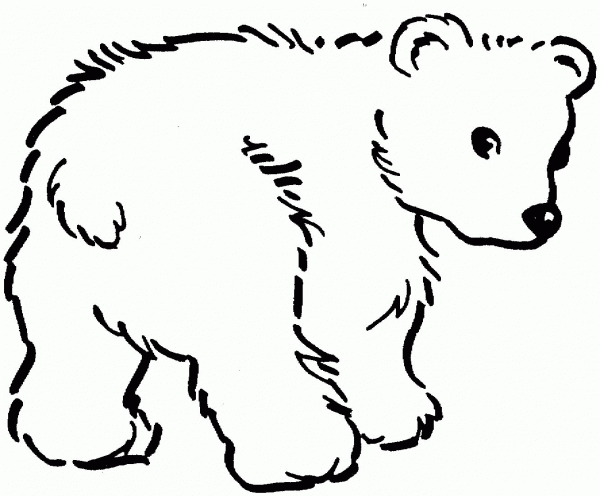 Cute Brown Bear Cub coloring page image