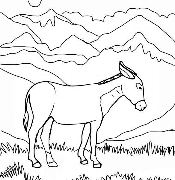 Cute Burro coloring page image